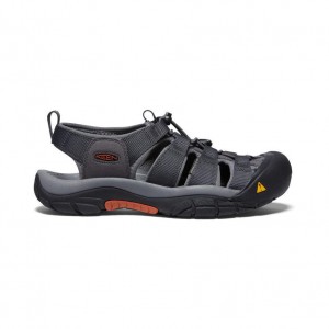 Black Men Keen Newport H2 Hiking Sandals | 62078-YOIL