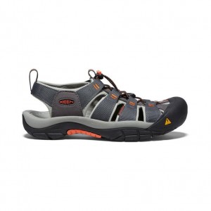 Blue Men Keen Newport H2 Hiking Sandals | 13654-SIBE