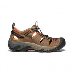 Brown Men Keen Arroyo II Hiking Sandals | 94605-UMLD