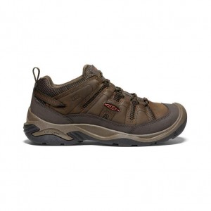 Brown Men Keen Circadia Vent Hiking Shoes | 93102-HKJN