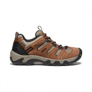 Brown Men Keen Headout Waterproof Hiking Shoes | 53049-CURK