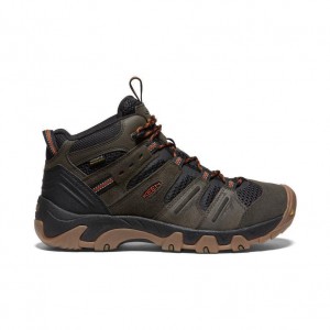 Brown Men Keen Headout Waterproof Hiking Boots | 03547-DMYU