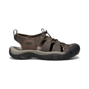 Brown Men Keen Newport H2 Hiking Sandals | 53897-YPCN