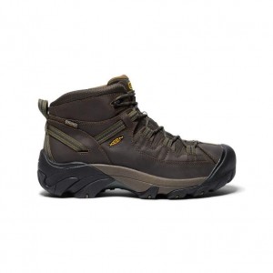 Brown Men Keen Targhee II Mid Waterproofs Hiking Boots | 68072-EOFW