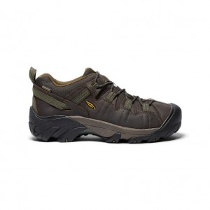 Brown Men Keen Targhee II Waterproof Hiking Shoes | 07623-EDHZ