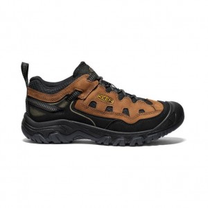 Brown Men Keen Targhee IV Vented Hiking Shoes | 81746-UADN