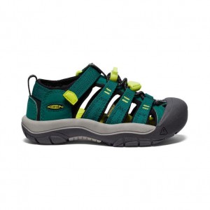 Green Kids' Keen Newport H2 Sandals | 58962-GXOZ