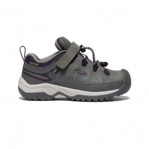 Grey Kids' Keen Targhee Waterproof Shoes | 69805-KUFM