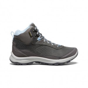 Grey Women Keen Terradora Explorer Waterproof Hiking Boots | 64875-SMWC