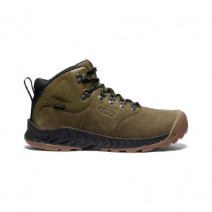 Olive Men Keen NXIS Explorer Waterproof Hiking Boots | 63521-HSOP