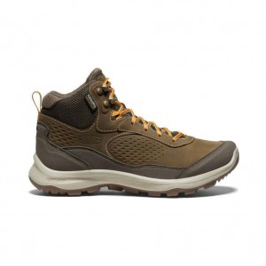 Olive Women Keen Terradora Explorer Waterproof Hiking Boots | 98236-COEI