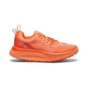 Orange Men Keen WK400 Walking Shoes | 76254-MLFG