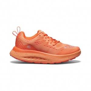 Orange Women Keen WK400 Walking Shoes | 07651-JEWP