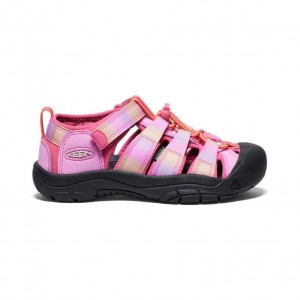 Pink Kids' Keen Newport H2 Sandals | 73619-OSAI