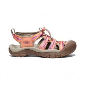 Pink Women Keen Newport H2 Hiking Sandals | 02916-QEFU