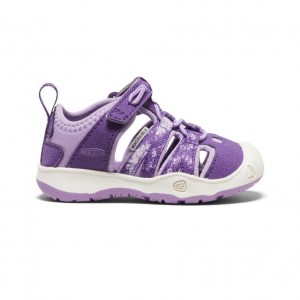 Purple Kids' Keen Moxie Sandals | 85201-CLDZ