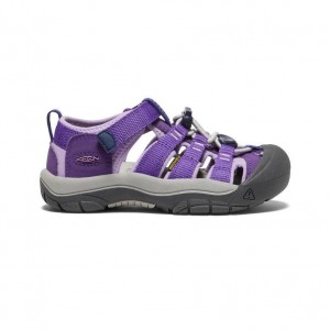 Purple Kids' Keen Newport H2 Sandals | 46095-EOVM