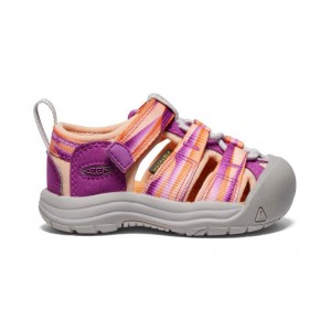 Purple Kids' Keen Newport H2 Sandals | 83014-AXOT