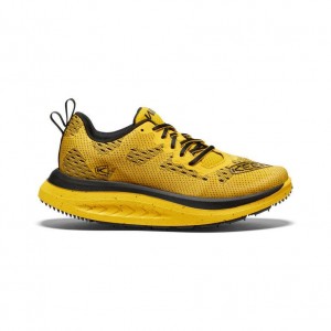 Yellow Women Keen WK400 Walking Shoes | 28603-BWHN